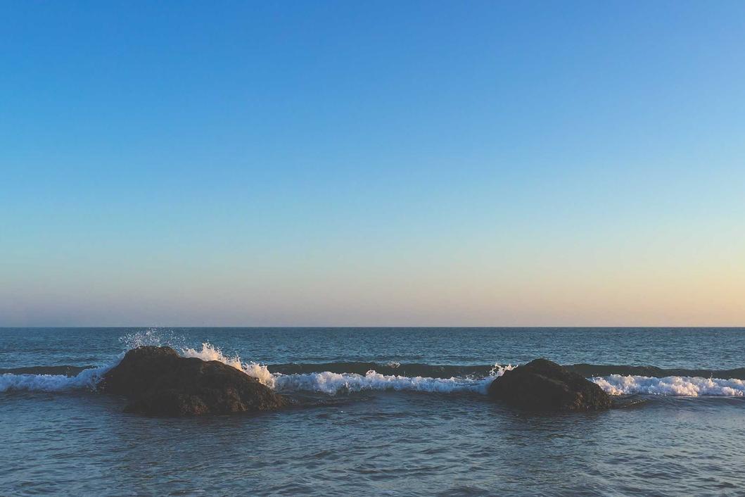 Ut distinctio ipsum nesciunt architecto