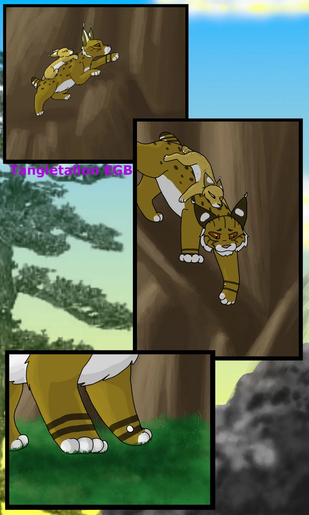 amber fury — GB news