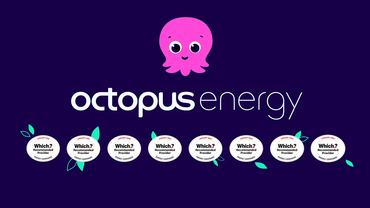 octopus go price increases — GB news
