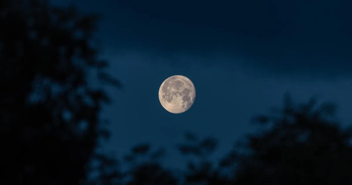 flower moon — GB news